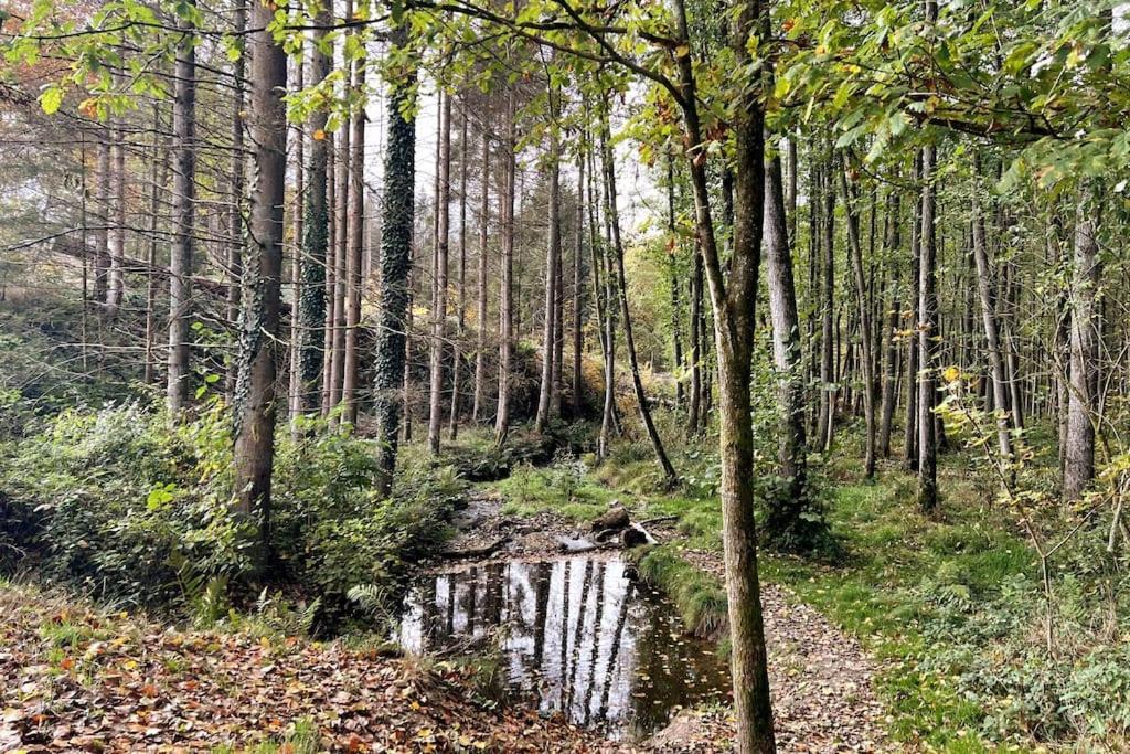 The Forest Retreat- Luxurioese Ferienwohnung Mit Privater Sauna Wermelskirchen Exteriör bild